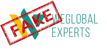 How Global Experts Works